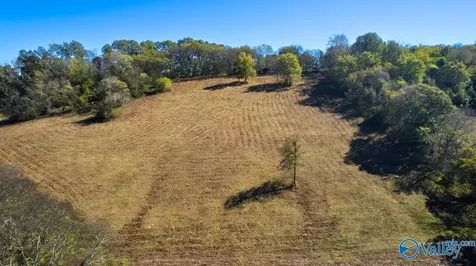 1121 Rolin Hollow Road Ardmore TN 38449