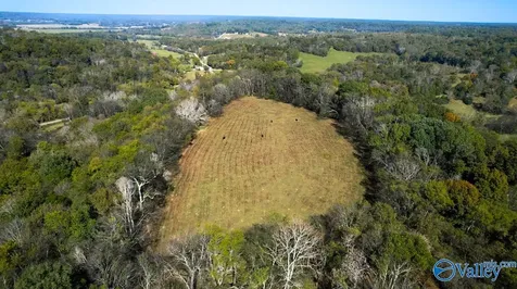 1121 Rolin Hollow Road Ardmore TN 38449
