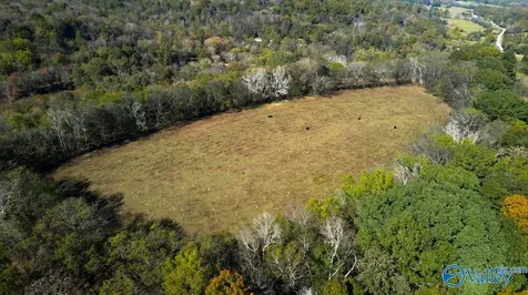 1121 Rolin Hollow Road Ardmore TN 38449