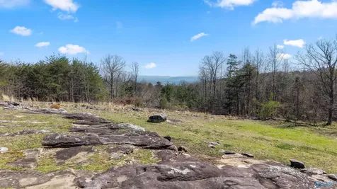 9890 County Road 103 Mentone AL 35984