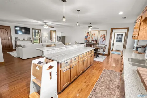 9890 County Road 103 Mentone AL 35984