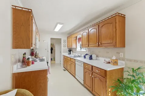 62 Clyde Circle Guntersville AL 35976