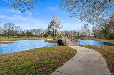 540 Mill Road Madison AL 35758