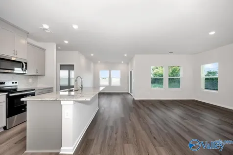 29215 Satilla Circle Madison AL 35756