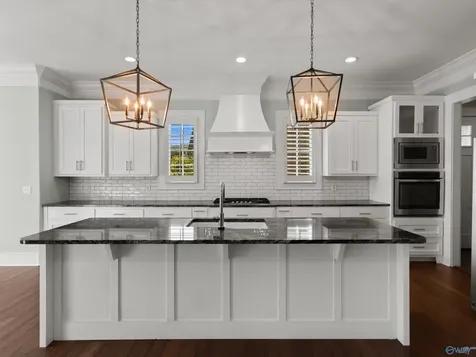 5405 Spring Creek Drive Guntersville AL 35976