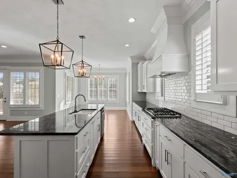 5405 Spring Creek Drive Guntersville AL 35976