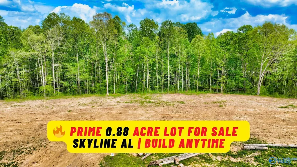 88 Acre County Road 825 Scottsboro AL 35768