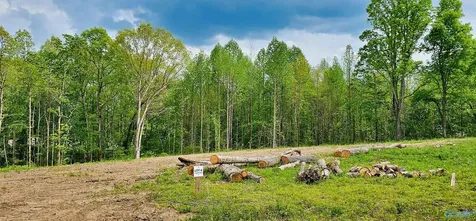 88 Acre County Road 825 Scottsboro AL 35768