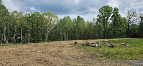 88 Acre County Road 825 Scottsboro AL 35768