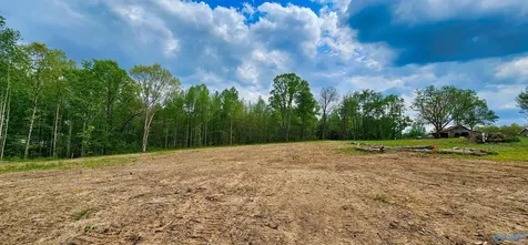 88 Acre County Road 825 Scottsboro AL 35768