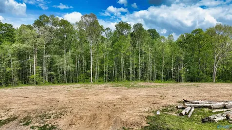 88 Acre County Road 825 Scottsboro AL 35768