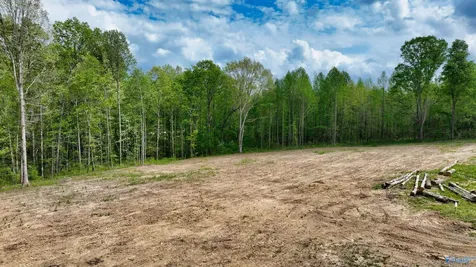 88 Acre County Road 825 Scottsboro AL 35768