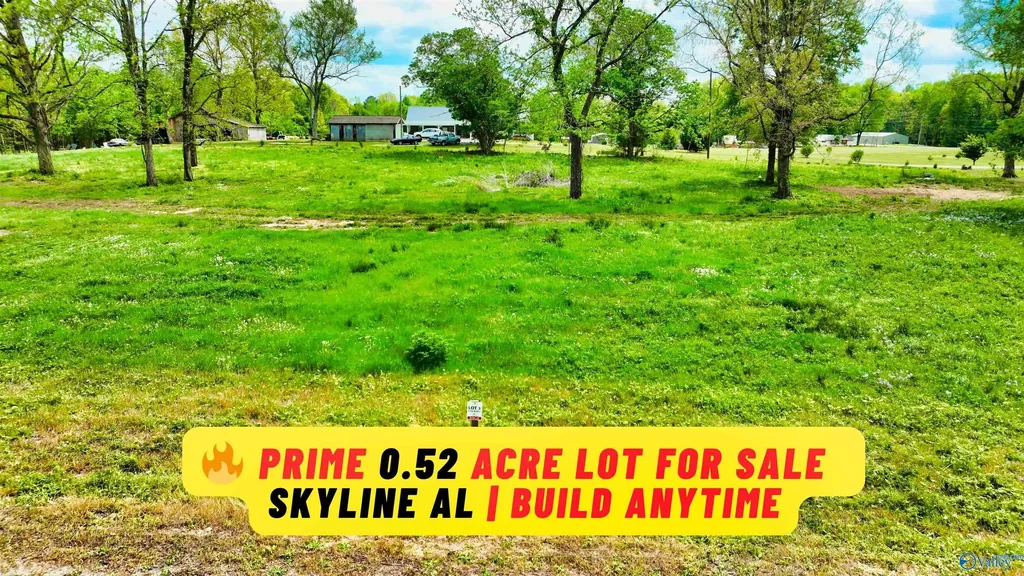 52 Acre County Road 825 Scottsboro AL 35768