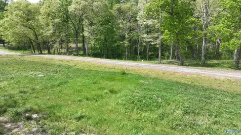 52 Acre County Road 825 Scottsboro AL 35768