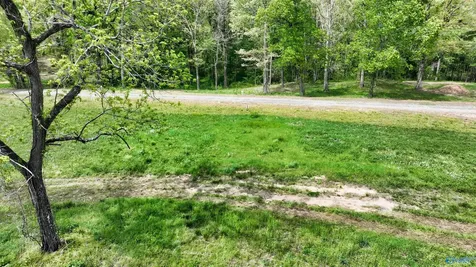 52 Acre County Road 825 Scottsboro AL 35768