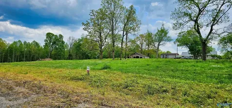 52 Acre County Road 825 Scottsboro AL 35768