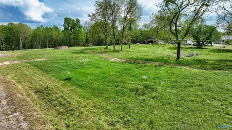 52 Acre County Road 825 Scottsboro AL 35768