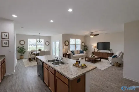 119 Pine Landing Drive Harvest AL 35749