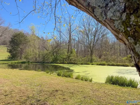 8941 Bethel Road Prospect TN 38477