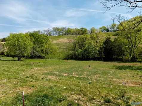 305 Ingram Road Pulaski TN 38478