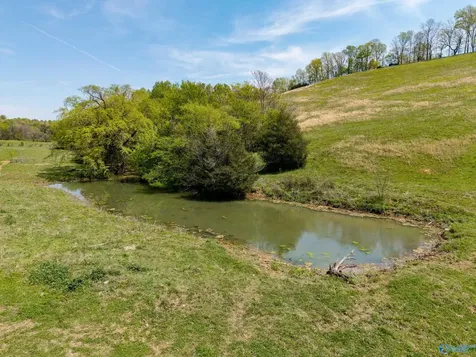 305 Ingram Road Pulaski TN 38478