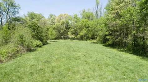 Tract 2b Us Highway 72 Athens AL 35611