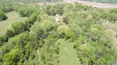 Tract 2b Us Highway 72 Athens AL 35611