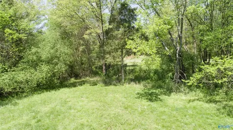 Tract 2b Us Highway 72 Athens AL 35611