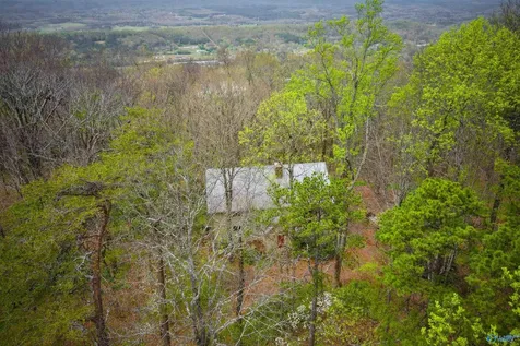 18739A County Road 89 Mentone AL 35984