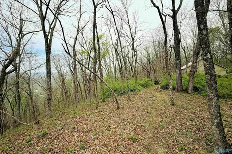 18739A County Road 89 Mentone AL 35984