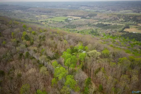 18739 County Road 89 Mentone AL 35984