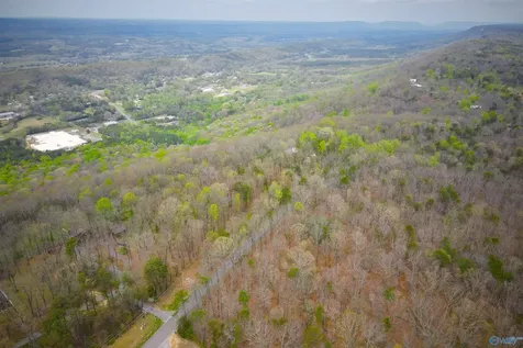 18739 County Road 89 Mentone AL 35984