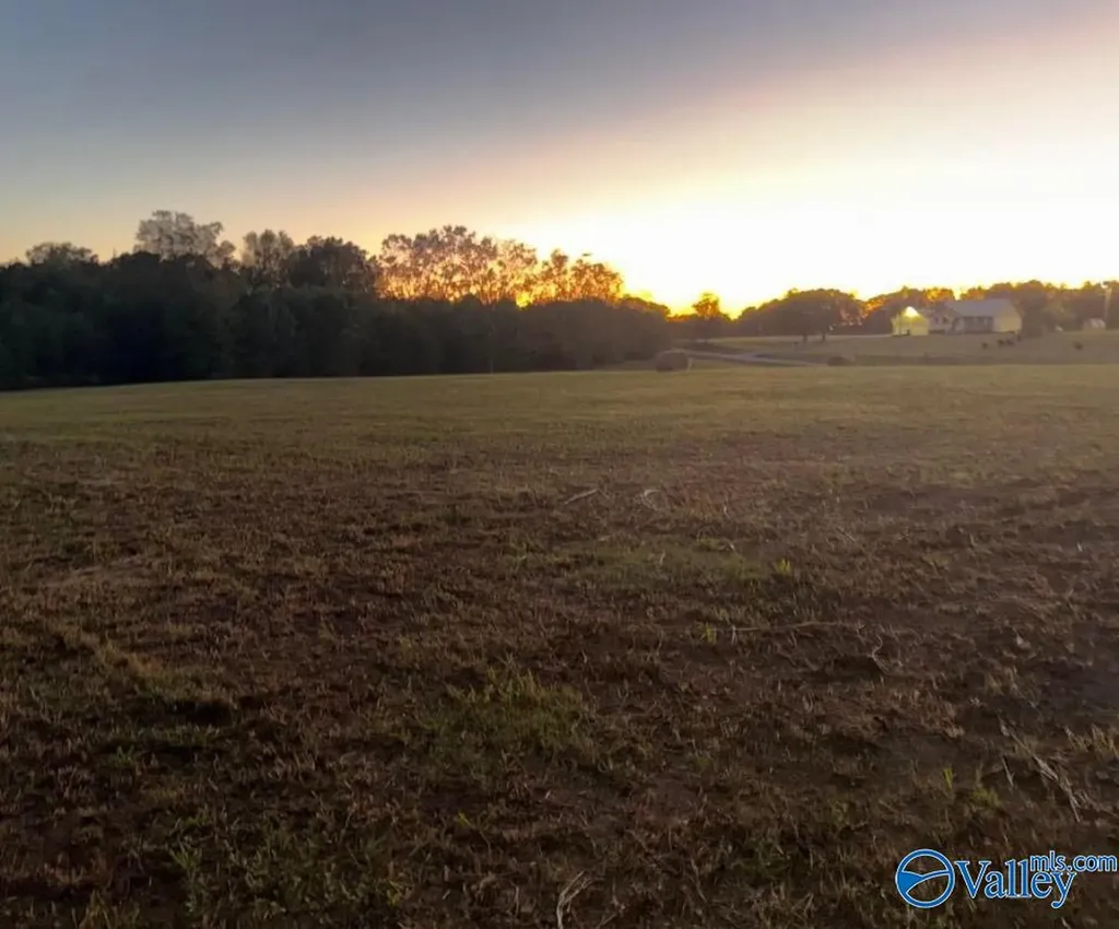 Lot 4 County Road 1755 Holly Pond AL 35083