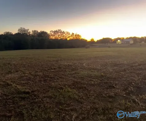 Lot 4 County Road 1755 Holly Pond AL 35083