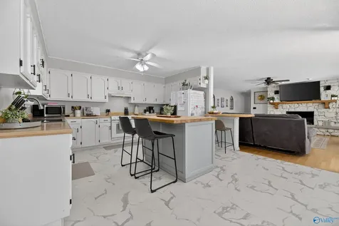 6496 Spring Creek Drive Guntersville AL 35976