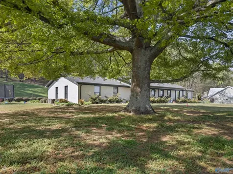 6496 Spring Creek Drive Guntersville AL 35976