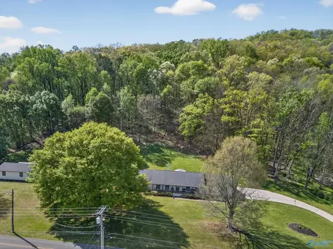 6496 Spring Creek Drive Guntersville AL 35976