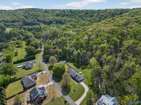 6496 Spring Creek Drive Guntersville AL 35976