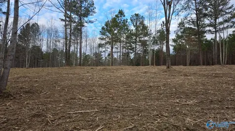 Lot 49 And 50 Lake View Drive Mentone AL 35984