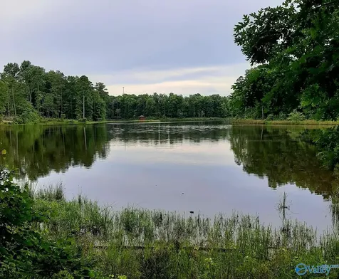 Lot 49 And 50 Lake View Drive Mentone AL 35984