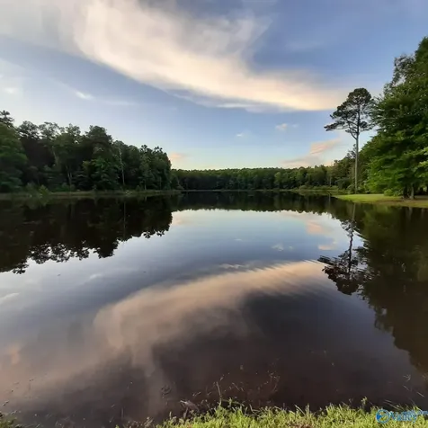 Lot 49 And 50 Lake View Drive Mentone AL 35984