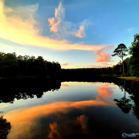 Lot 49 And 50 Lake View Drive Mentone AL 35984