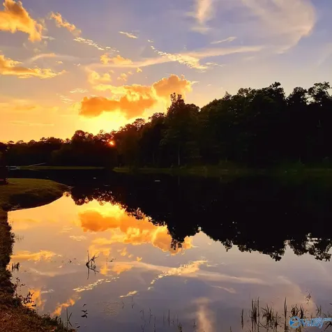 Lot 49 And 50 Lake View Drive Mentone AL 35984