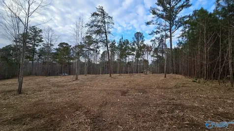 Lot 49 And 50 Lake View Drive Mentone AL 35984