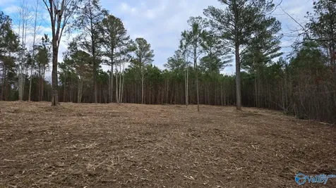 Lot 49 And 50 Lake View Drive Mentone AL 35984