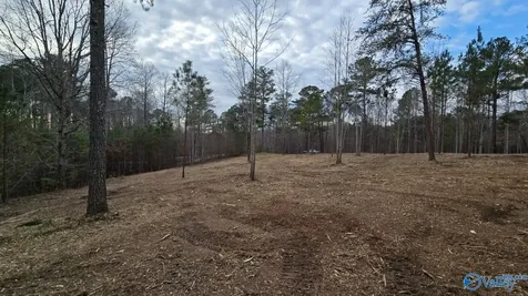 Lot 49 And 50 Lake View Drive Mentone AL 35984