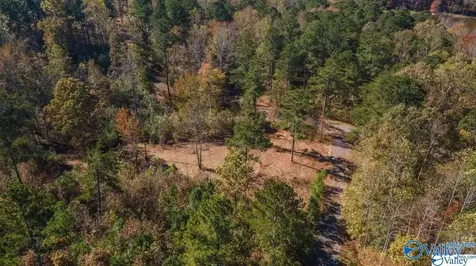 Lot 49 And 50 Lake View Drive Mentone AL 35984