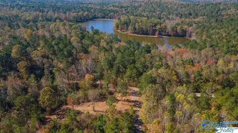 Lot 49 And 50 Lake View Drive Mentone AL 35984