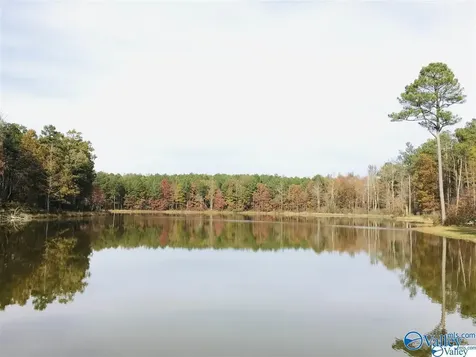 Lot 49 And 50 Lake View Drive Mentone AL 35984