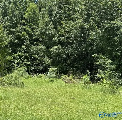 0.9 Acres Branch Cove Road Odenville AL 35120